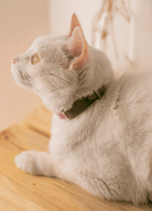 Melrose Sambboho cat collar