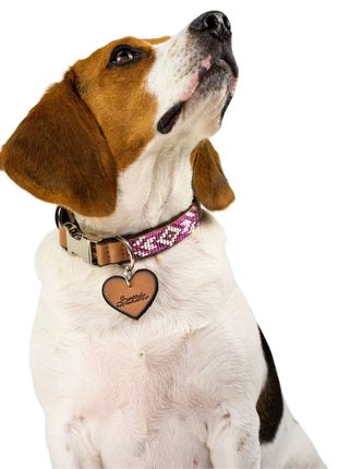 Melrose dog collar (quick release)