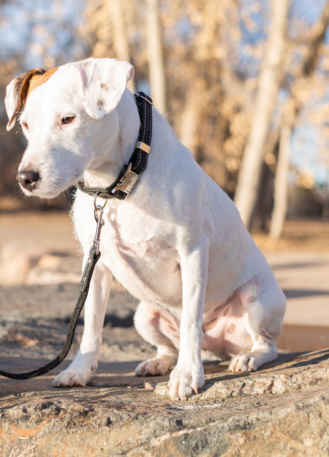 Traditional Midnight Black Leather Leash