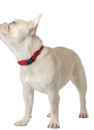 City Collar - Iconic Red