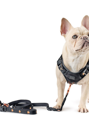 3-in-1 City Dog Leash - Rockstar