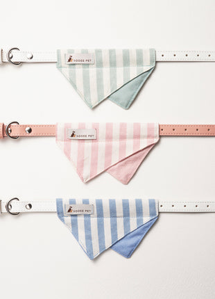 Nooee Pet Collar Daisy