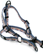 Outdoor Style Mountain Sunset Nylon Step In Dog Harness