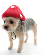 Mushroom Hat