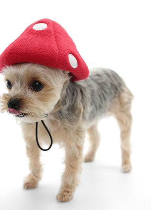 Mushroom Hat