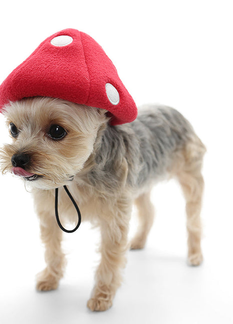Mushroom Hat