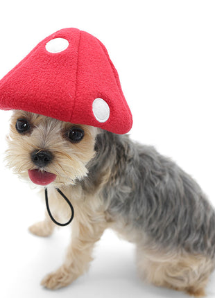 Mushroom Hat
