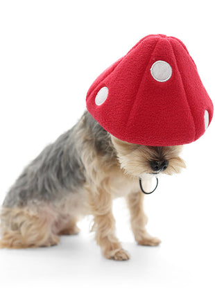 Mushroom Hat
