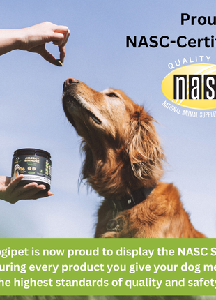 3 in 1 Probiotic Chews for Dogs - Pup List