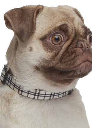 Parisian Pet 'Scottish Plaid' Collar, for Dogs & Cats, Adjustable Pet Collar, Stylish Plaid Dog Collar Khaki