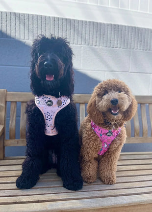 Spotted in the City Adjustable Harness