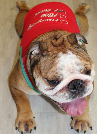 Parisian Pet 'Naughty or Nice' Dog Christmas T-Shirt - Festive Pet Holiday Shirt for Dogs & Cats, Red