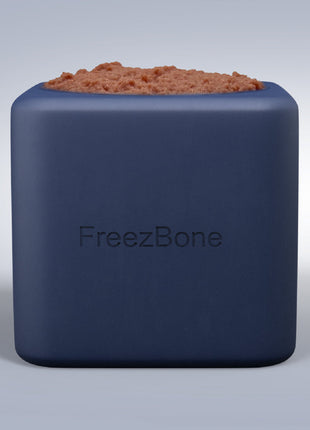 Freezbox - Super Tough Treat Toy