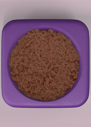 Freezbox - Super Tough Treat Toy