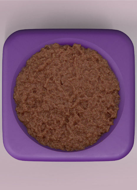 Freezbox - Super Tough Treat Toy