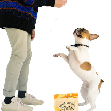 Pumpkin Apple Canine Cookie
