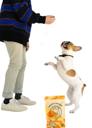 Pumpkin Apple Canine Cookie