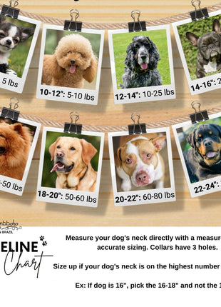 Bixie Sambboho dog collar