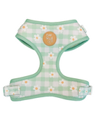 Oopsie Daisy! Adjustable Harness - Pup List