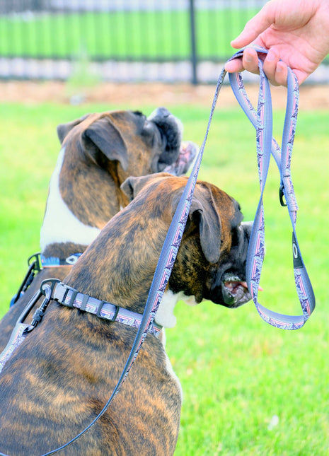 Outdoor Style Mountain Sunset Nylon Dog Leash