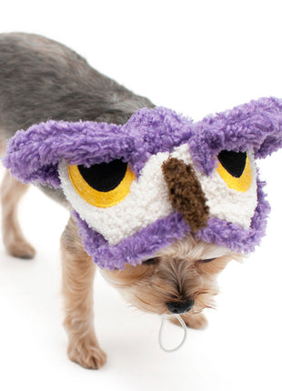 Owl Hat