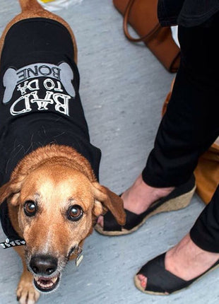 Parisian Pet 'Bad to da Bone' Dog Shirt – Trendy Slogan T-Shirt for Dogs & Cats, Black