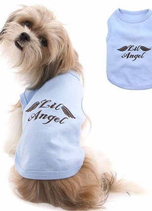 Parisian Pet 'Lil Angel' Dog & Cat T-Shirt – Comfortable & Lightweight Embroidered Novelty Pet Shirt – Light Blue