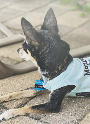 Parisian Pet 'Mommy's Boy' Cotton Dog Apparel – Comfortable T-Shirt for Small Dogs and Cats, Light Blue-Valentine's Day