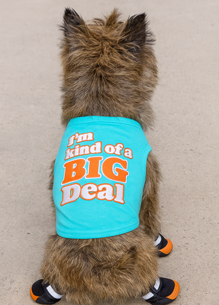 Parisian Pet 'I'm Kind of a Big Deal' Humorous Dog Shirt – Embroidered Graphic Pet T-Shirt for Dogs & Cats, Light Blue