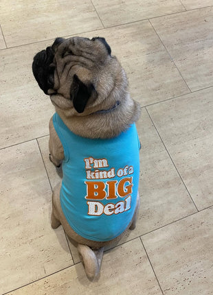 Parisian Pet 'I'm Kind of a Big Deal' Humorous Dog Shirt – Embroidered Graphic Pet T-Shirt for Dogs & Cats, Light Blue