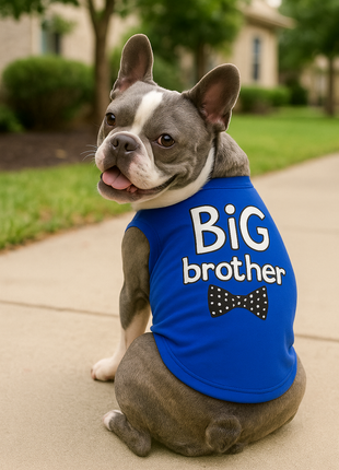 Parisian Pet 'Big Brother' Embroidered Pet T-Shirt – Cute Sibling Announcement Dog Shirt for Dogs & Cats, Blue