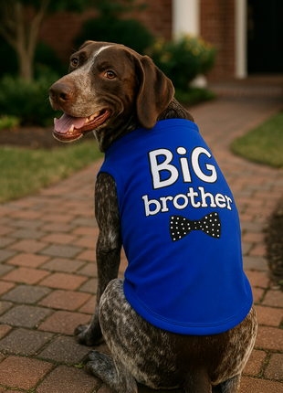 Parisian Pet 'Big Brother' Embroidered Pet T-Shirt – Cute Sibling Announcement Dog Shirt for Dogs & Cats, Blue