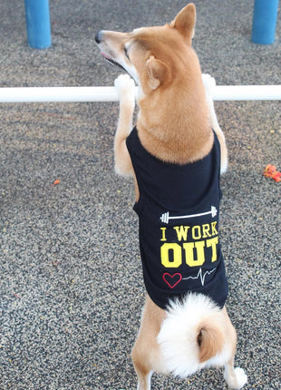 Parisian Pet 'I Work Out' Trendy Dog Apparel – Playful Slogan Dog Shirt for Dogs & Cats, Black