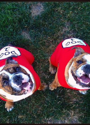 Parisian Pet 'Dog 1' Dog Shirt – Fun Slogan Cotton Pet T-Shirt for Dogs & Cats, Red