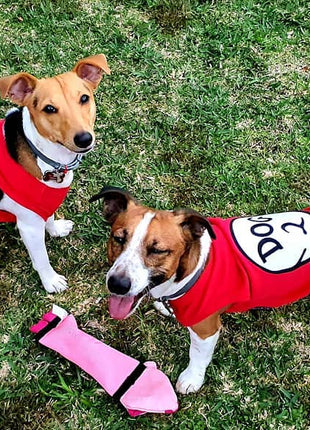 Parisian Pet 'Dog 2' Funny Slogan Dog Shirt – Playful Embroidered Pet Apparel for Dogs & Cats, Red