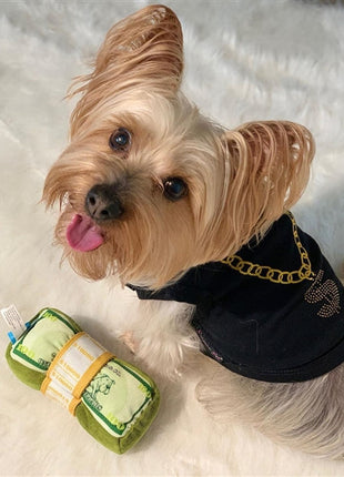 Parisian Pet 'Bling $' Dog Shirt – Sparkly Embroidered Pet T-Shirt for Dogs & Cats, Black