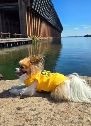 Parisian Pet 'Licker' Novelty Dog Apparel – Fun Embroidered Pet Wear for Dogs & Cats, Yellow