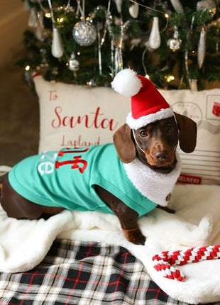 Parisian Pet Embroidered 'Elf Size Shirt' - Holiday Pet Apparel & Christmas Dog Clothes, Green