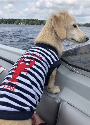 Parisian Pet 'Lobster Chasing Tail' Dog Shirt – Nautical Cotton Pet T-Shirt for Dogs & Cats, Blue & White Stripes