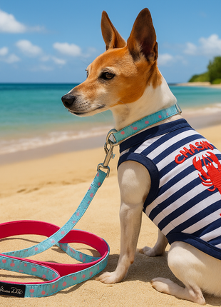 Parisian Pet 'Lobster Chasing Tail' Dog Shirt – Nautical Cotton Pet T-Shirt for Dogs & Cats, Blue & White Stripes