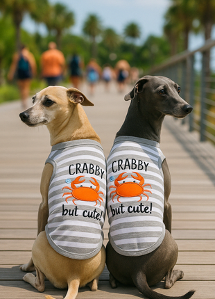Parisian Pet 'Crabby But Cute Tee' Embroidered Dog Shirt - Trendy Pet Apparel for Dogs & Cats, Gray and White Stripes