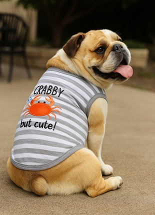 Parisian Pet 'Crabby But Cute Tee' Embroidered Dog Shirt - Trendy Pet Apparel for Dogs & Cats, Gray and White Stripes