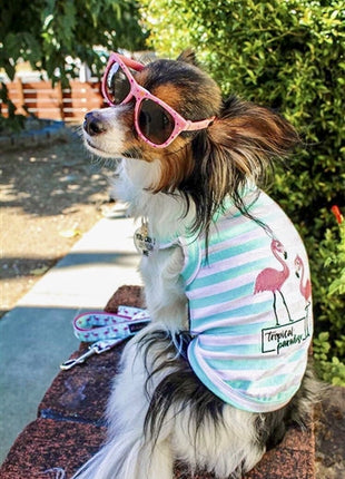 Parisian Pet 'Flamingos'  Dog Shirt – Lightweight & Breathable Summer Outfit for Small Dogs & Cats, Light Blue and White Stripes