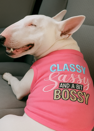 Parisian Pet 'Classy, Sassy, and a Bit Bossy' Dog & Cat T-Shirt – Trendy & Fun Pet Apparel - Pink