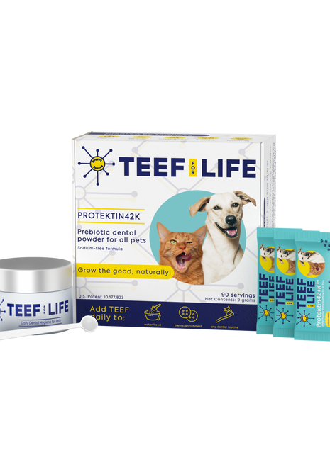 Dental Kits: Protektin42K - Prebiotic Dental Powder for All Pets (Sodium-free) - Pup List