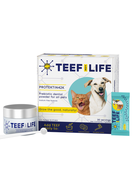 Dental Kits: Protektin42K - Prebiotic Dental Powder for All Pets (Sodium-free) - Pup List