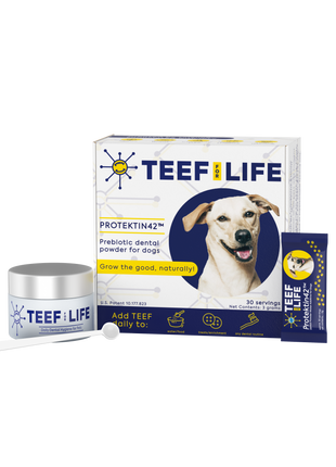 Dental Kits: Protektin42™ - Prebiotic Dental Powder for dogs - Pup List