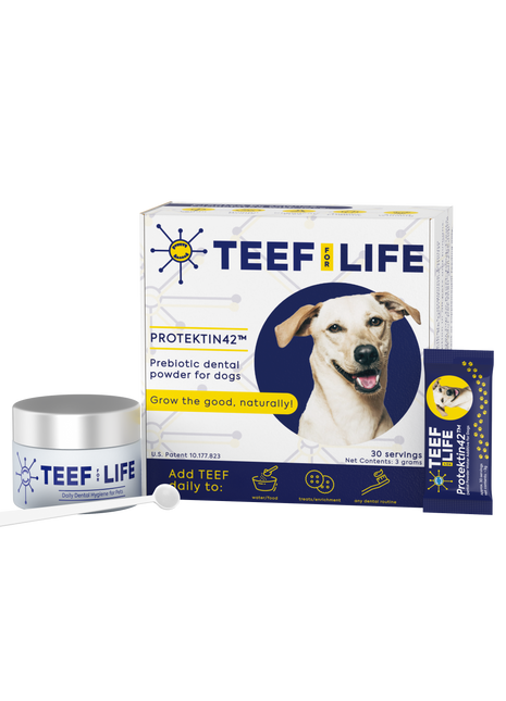 Dental Kits: Protektin42™ - Prebiotic Dental Powder for dogs - Pup List