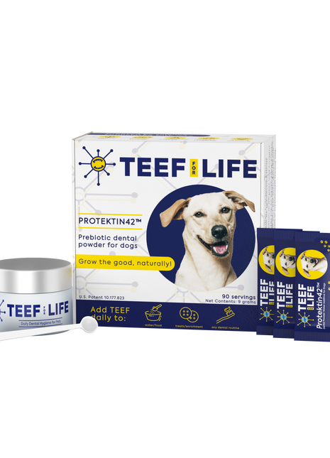 Dental Kits: Protektin42™ - Prebiotic Dental Powder for dogs - Pup List