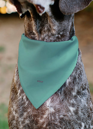 Pet Bandana - SCRUMP Text and Pose Light Blue